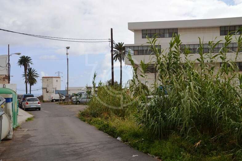 Sector de El Cubillo (Foto TA)